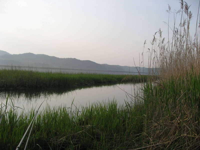 011_johwang05003657.jpg