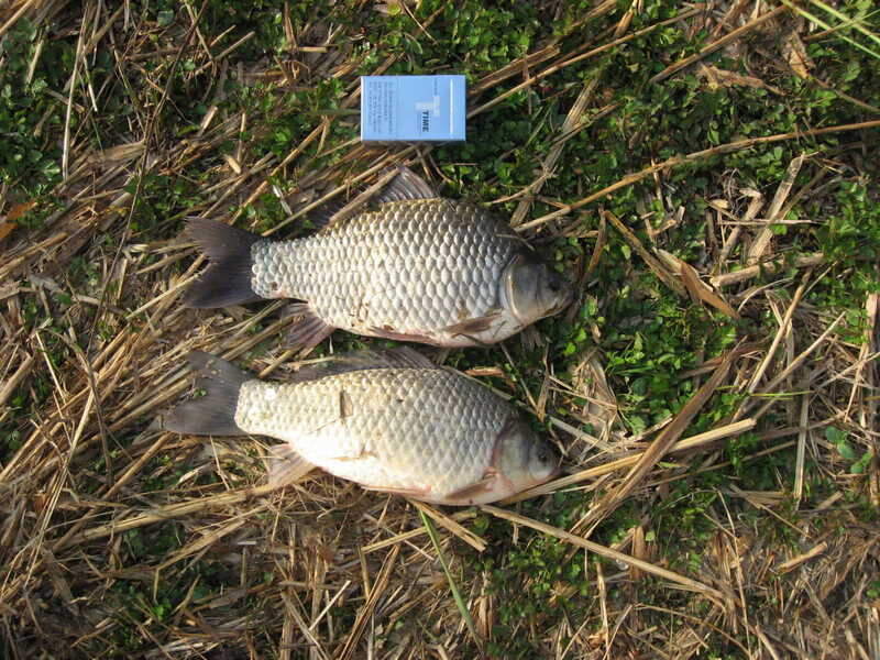 022_johwang05292483.jpg