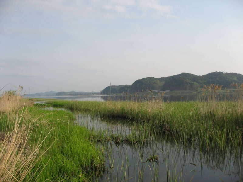 026_johwang05374063.jpg