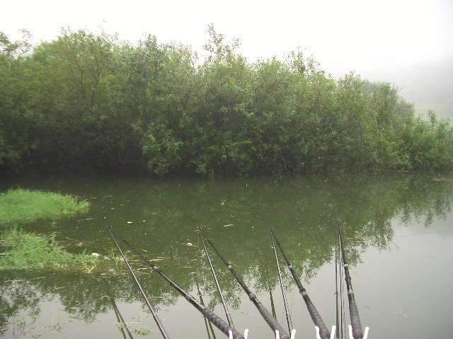 050_johwang0132533.jpg