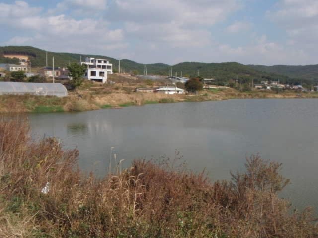 052_johwang06272557.jpg