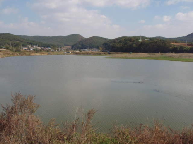 053_johwang06272974.jpg