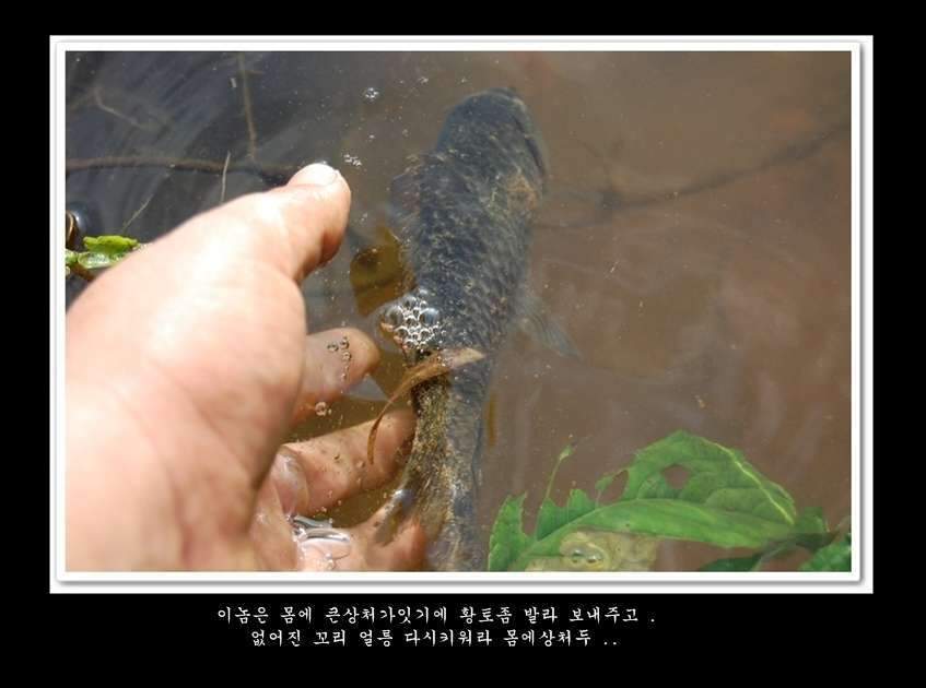 054-vert-vert-crop15_johwang0316482.jpg