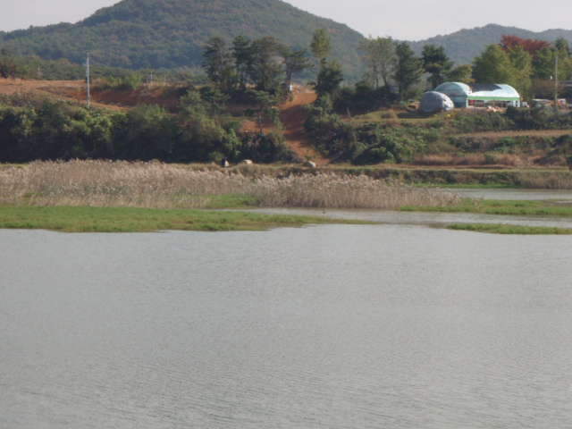 057_johwang06292911.jpg