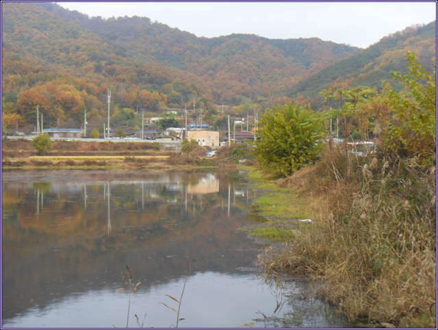061_johwang1132002.jpg
