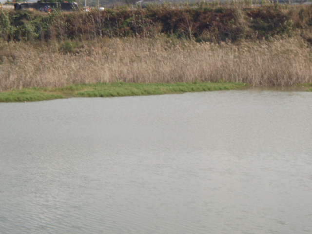 062_johwang0634258.jpg