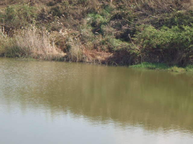 063_johwang06343123.jpg