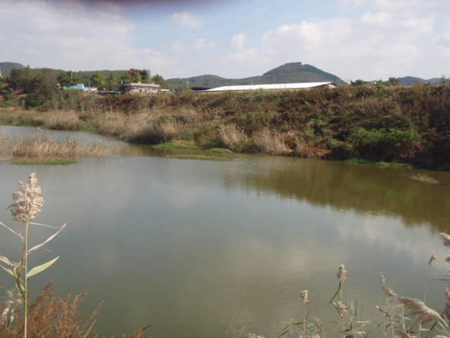 064_johwang06344050.jpg