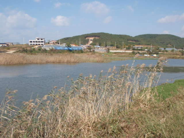 066_johwang06345214.jpg