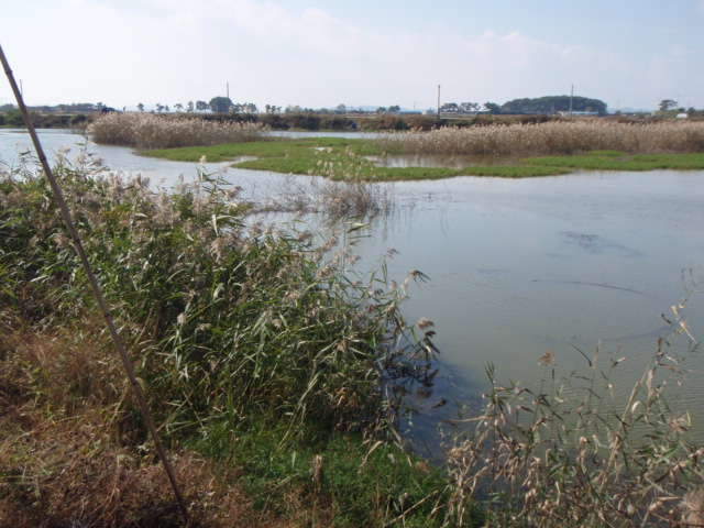 068_johwang06350814.jpg