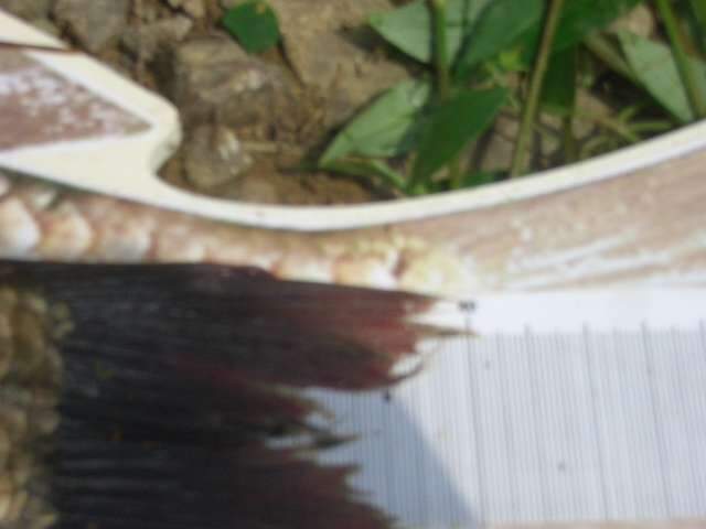 070_johwang03420711.jpg