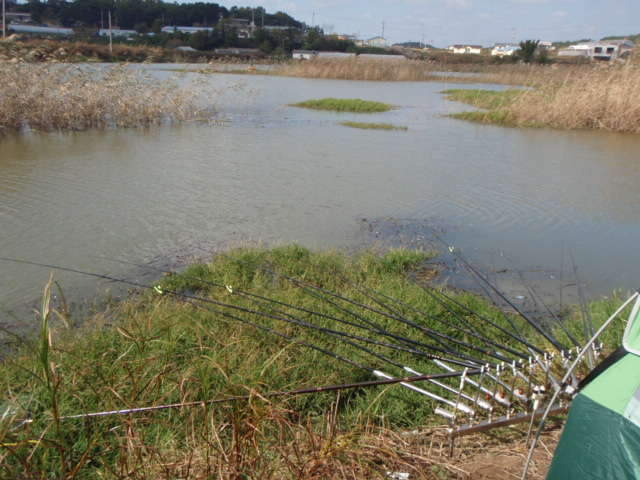 071_johwang06392266.jpg