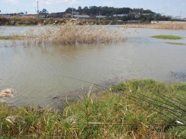 072_johwang06393015.jpg