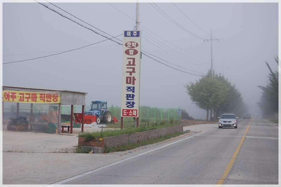 073_johwang02481856.jpg