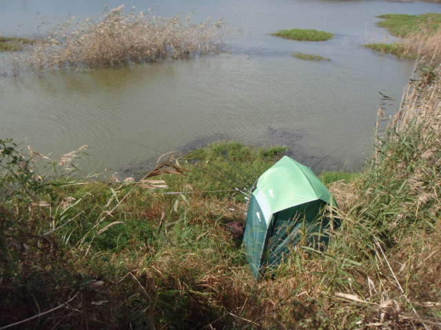 073_johwang06405282.jpg