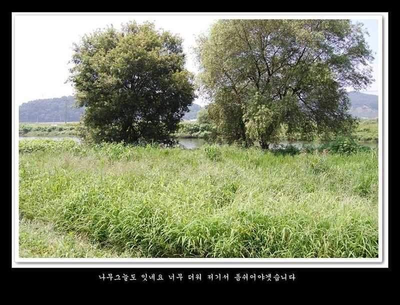 078-vert-crop22_johwang03205391.jpg