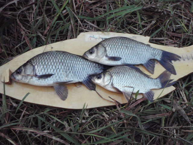 082_johwang06575742.jpg