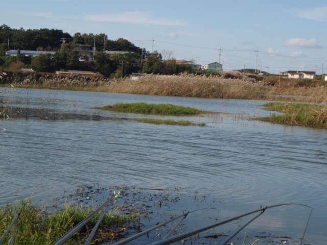 090_johwang06542898.jpg