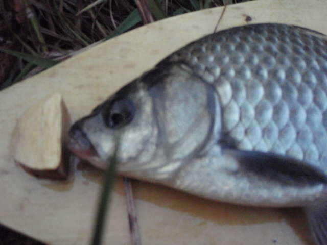 096_johwang06575085.jpg