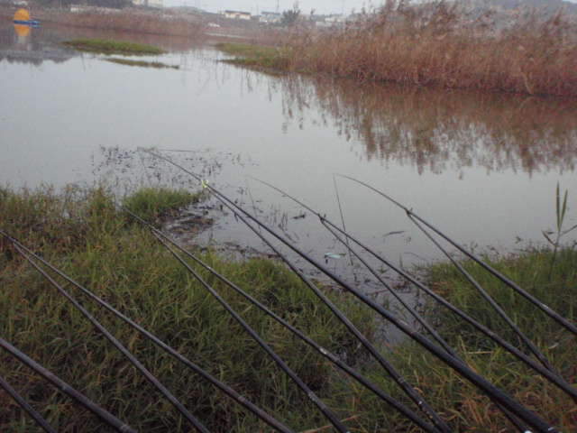 100_johwang06541267.jpg