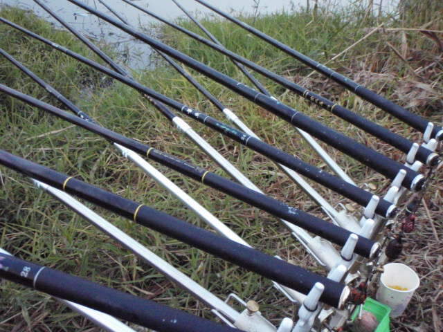 101_johwang06541842.jpg