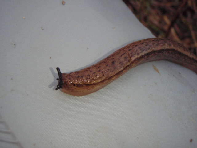 104_johwang06585229.jpg