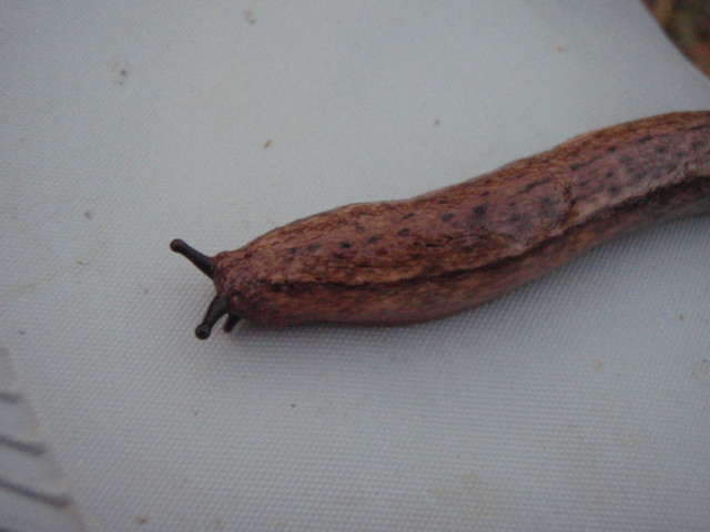 107_johwang06585848.jpg