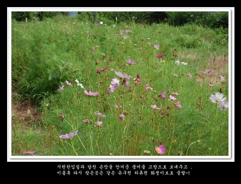 129-vert-crop16_johwang03195257.jpg