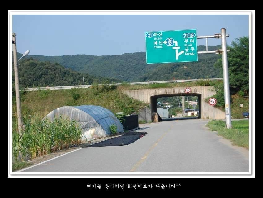 129-vert-crop19_johwang03203626.jpg