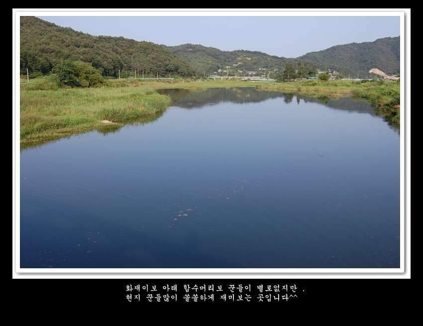 129-vert-crop20_johwang03204055.jpg