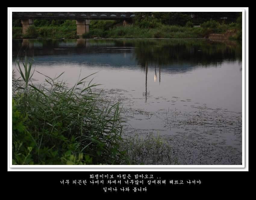 148-vert-crop26_johwang03211792.jpg