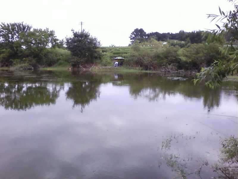 090822_3_johwang02190870.jpg