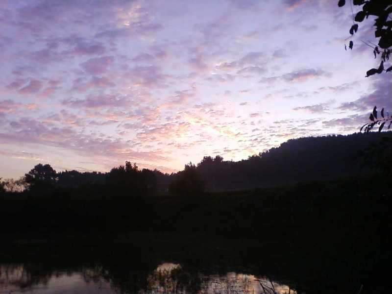 090823_1_johwang02211754.jpg