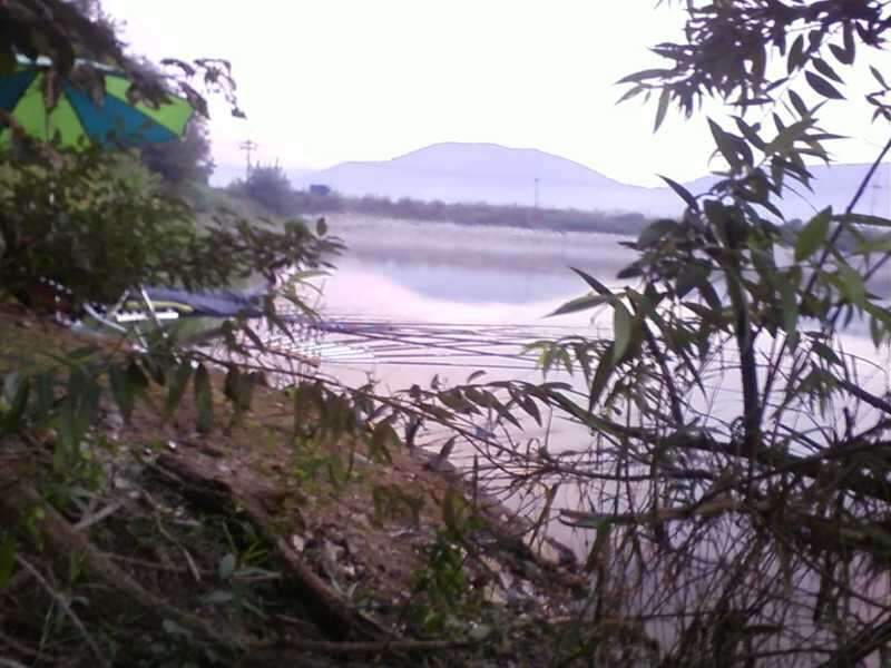 090823_4_johwang02215052.jpg