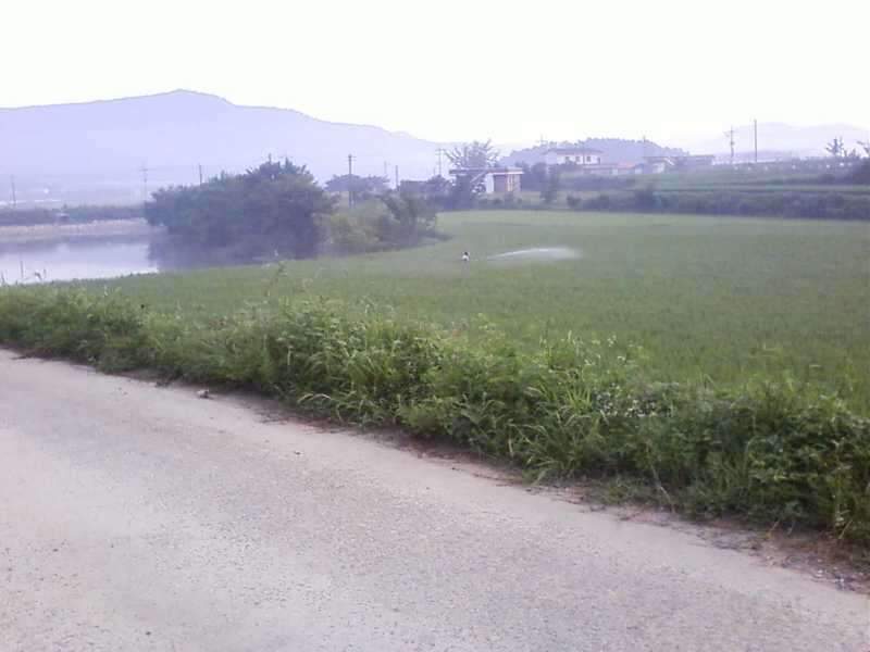 090823_6_johwang02224510.jpg