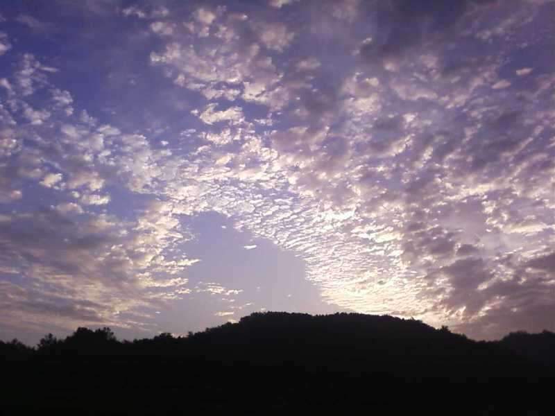 090823_7_johwang02232978.jpg
