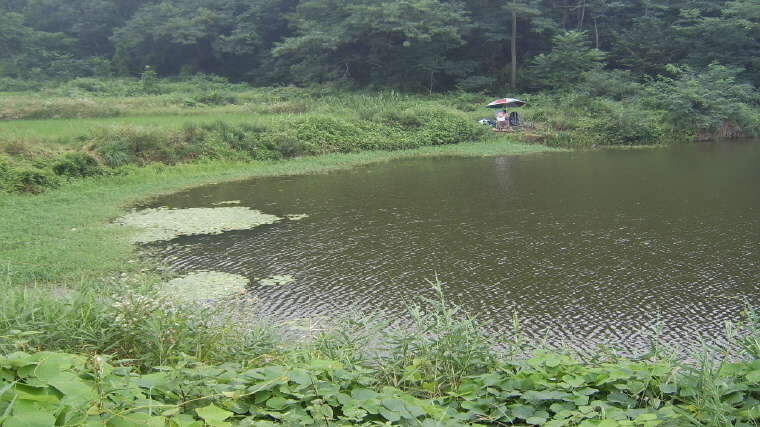 (땟장)_johwang09524381.jpg