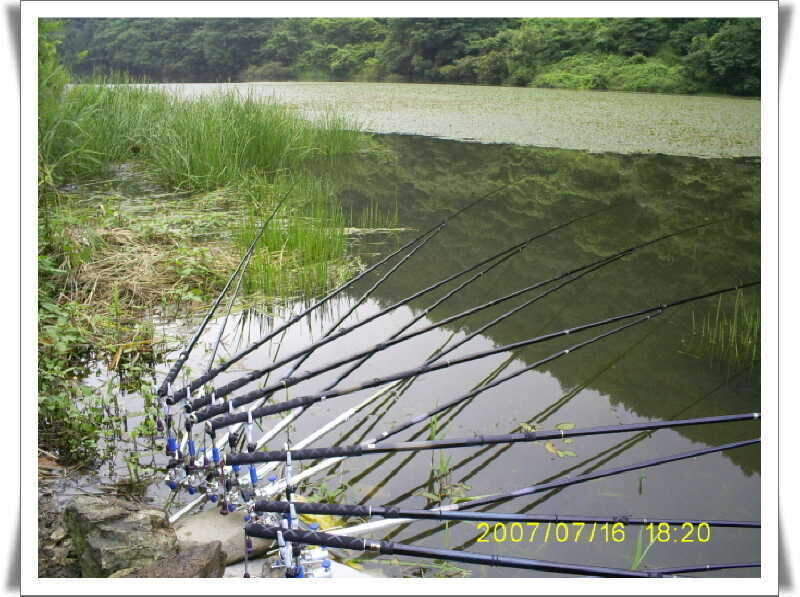 _S5030924_johwang12291144.jpg