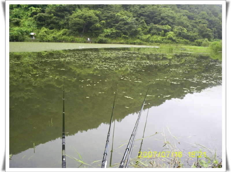 _S5030926_johwang12274791.jpg