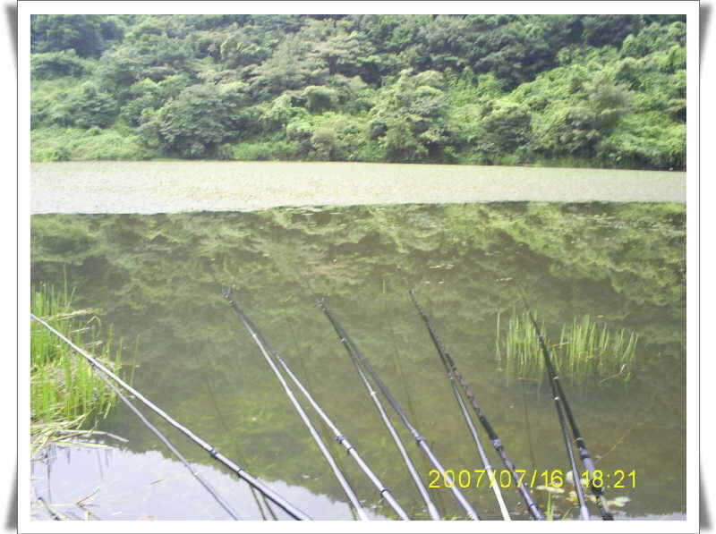 _S5030927_johwang12255973.jpg