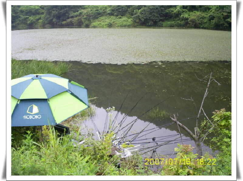 _S5030928_johwang12233647.jpg