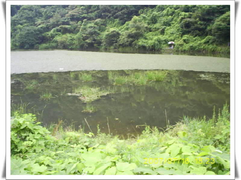 _S5030929_johwang1207233.jpg