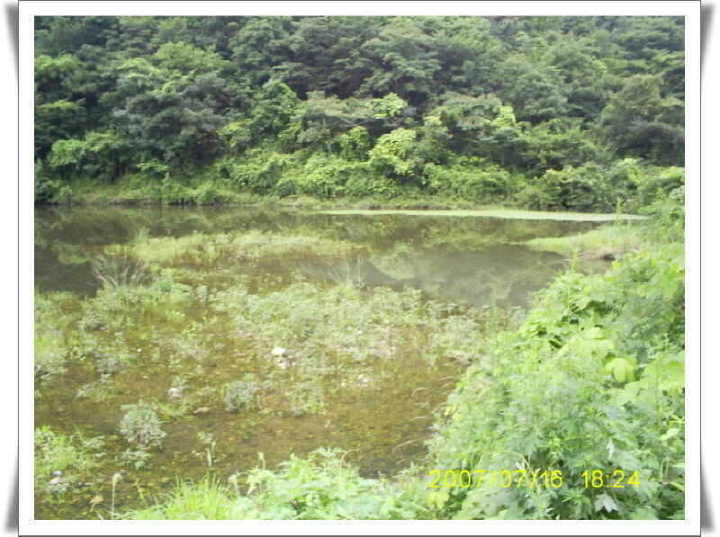 _S5030931_johwang12060257.jpg