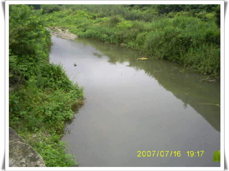 _S5030935_johwang12041395.jpg