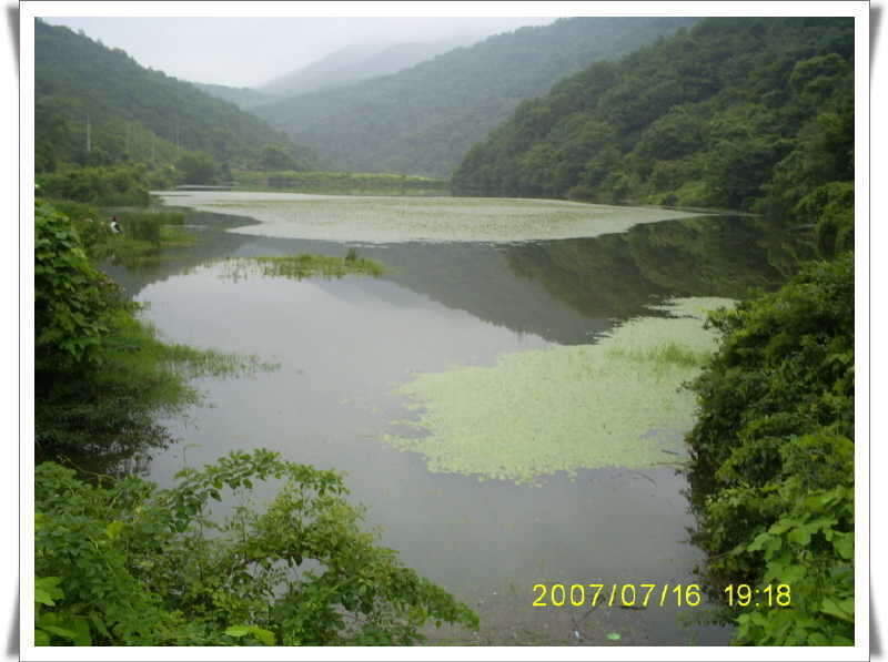 _S5030937_johwang11593659.jpg