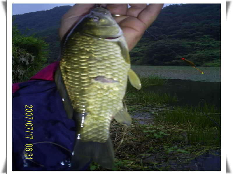 _S5030943_johwang12323836.jpg