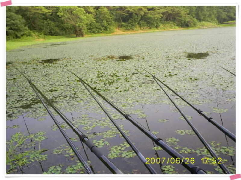S5030870_johwang07464728.jpg