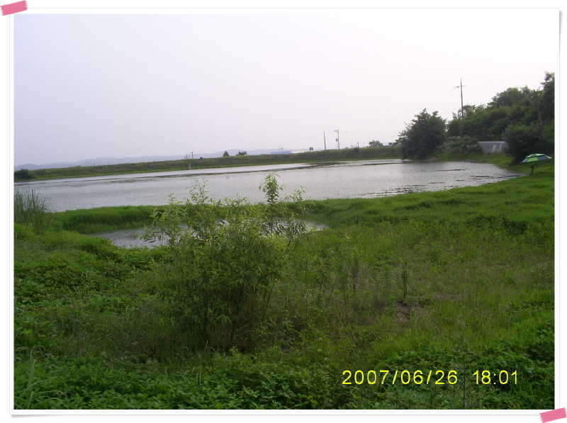 S5030875_johwang07560988.jpg