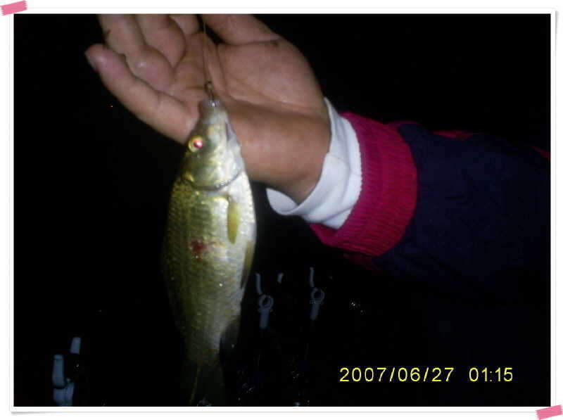 S5030890_johwang08235193.jpg