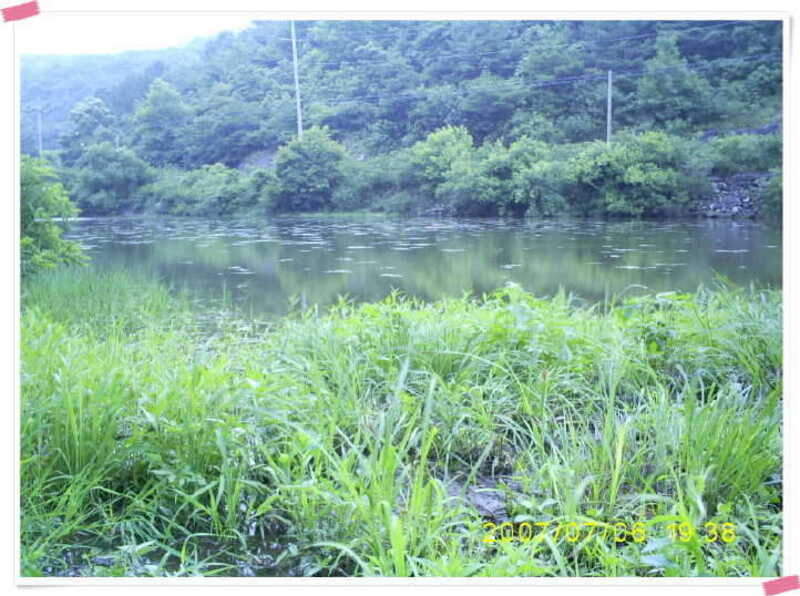 S5030899_johwang11075046.jpg